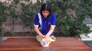 ฺBASIC CAT RESTRAINTS