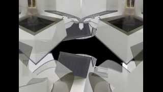INTERACTIVE SPACES - Frank Gehry - Reflection