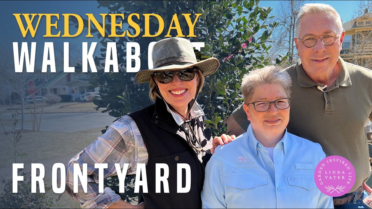 New Garden Design in Progress YouTube