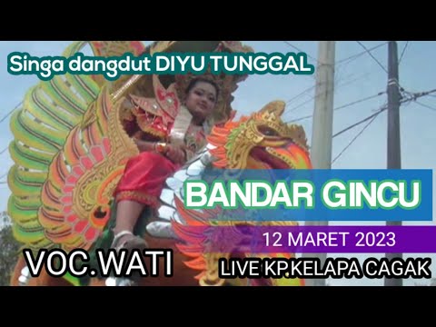 BANDAR GINCU lagu tarling terbaru Cover// Singa dangdut diyu tunggal VOC.Miss Wati #singadangdut