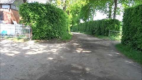 Gezang van vogels en vliegende zwaluwen