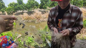 thả lưới bắt cá lồng tong giữa trưa nắng