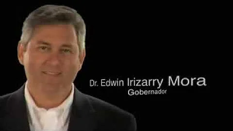 Edwin Irizarry Mora - Economista - Campaa 2008