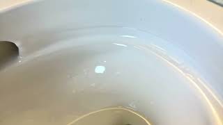 Installing TOTO Washlet S2