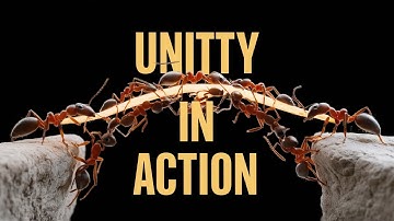 The Ant Bridge: Power of Unity" @livingwisdom10
