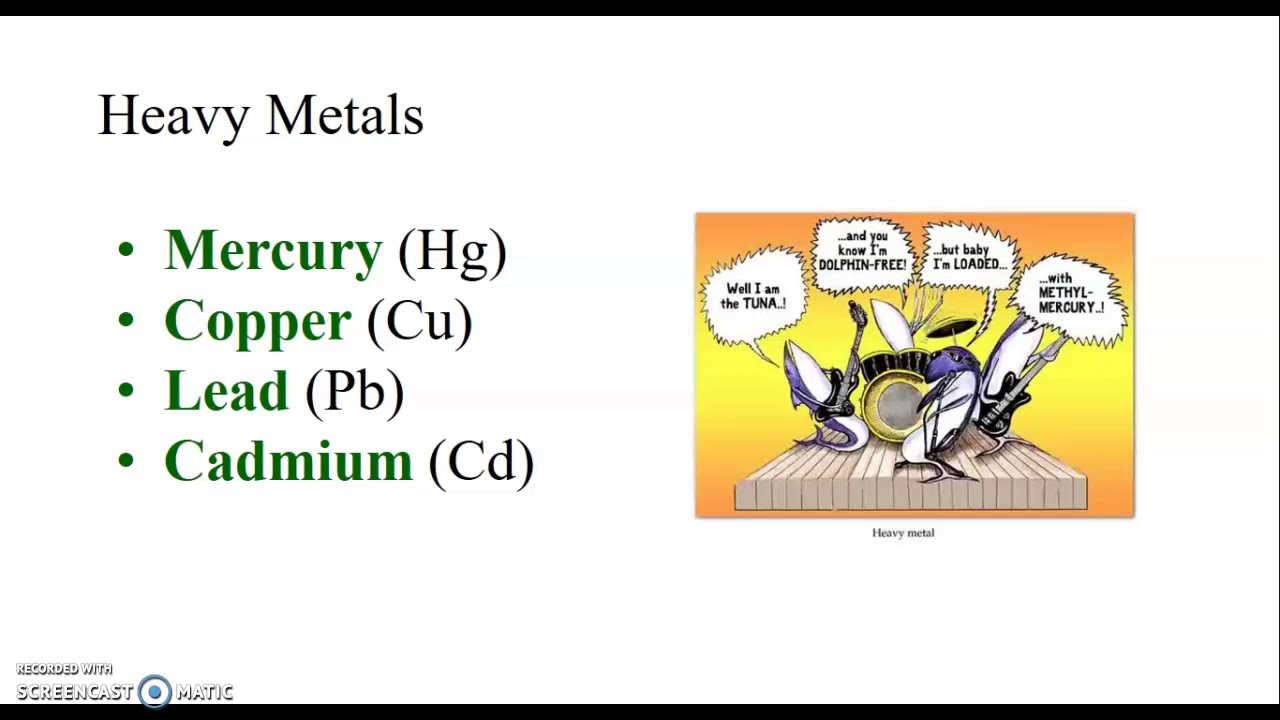 Health and Sustainability Part 1