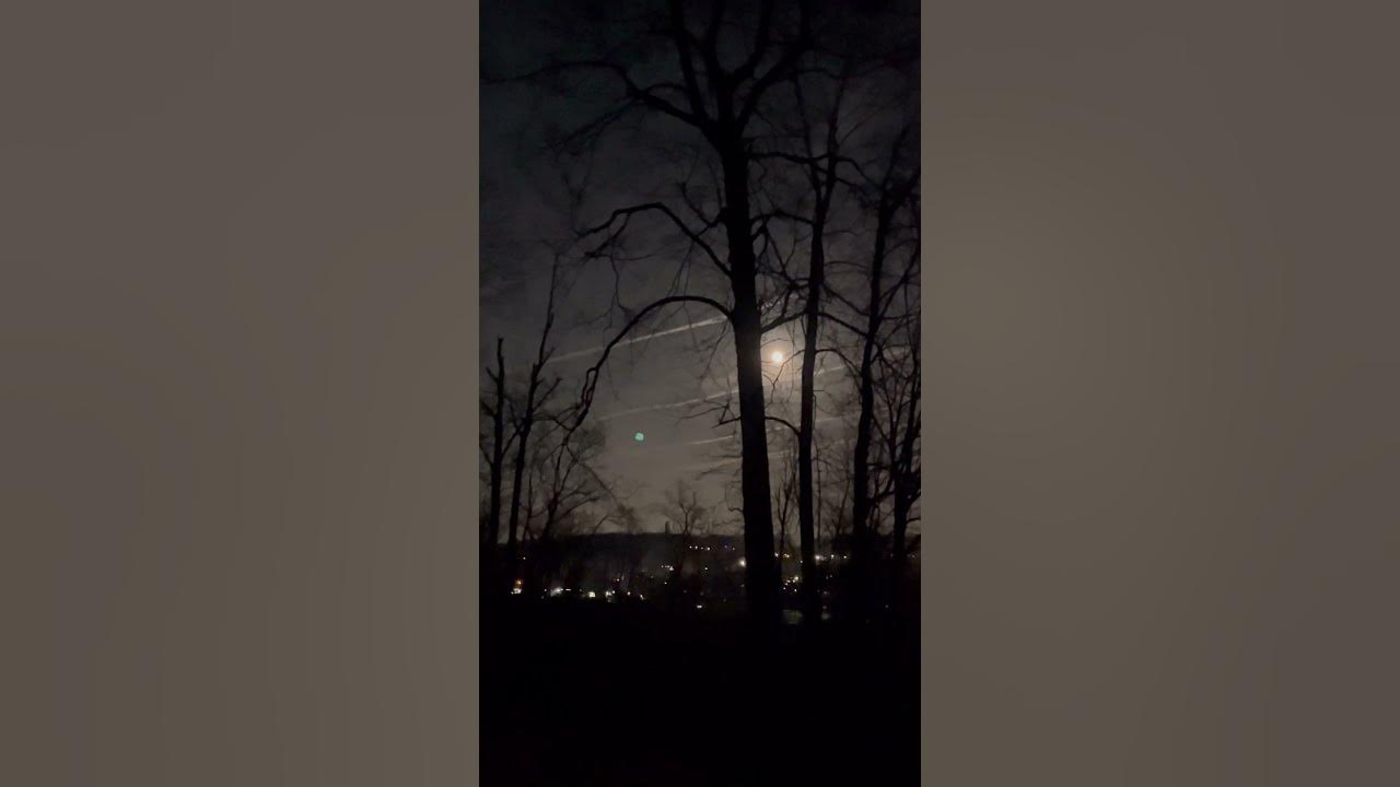 Praise Jah In The Moonlight, YG Marley #energy Full Moon in Virgo 2024
