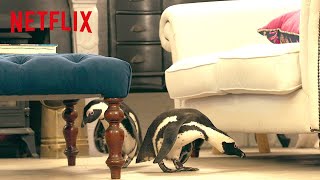 Parents Search for Their Baby Penguin | Penguin Town | Netflix After School