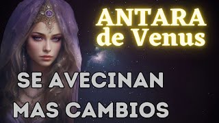 ANTARA DE VENUS : SE AVECINAN MÁS CAMBIOS  La Gloria del Yo Soy