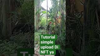Trik upload Gambar Di Opensea #tutorial
