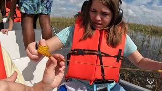 DFB Teen Center Sea Lab Everglades Experience