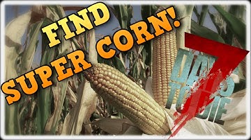 7 Days to Die | Find Super Corn Spawns!
