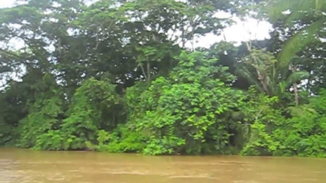 Costa Rica - Monteverde rain forest