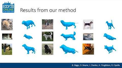 Who Left the Dogs Out? 3D Animal Reconstruction with Expectation Maximization in the Loop