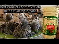 Very necessary medication bath for racing pigeons  pets valley  racer kabutar