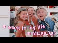 a week in my life in MEXICO!