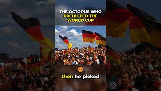 Paul the Octopus Predicted 8 World Cup Games in a Row