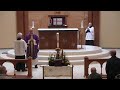 Carol Nest Funeral Mass 9 Am Tuesday March 4 2025 Carol Nest Funeral Mass 9 Am Tuesday March 4 2025