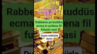 Ssilgeßaykus5N1K.aboneolana