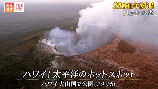 UTYテレビ山梨 UTYテレビ山梨