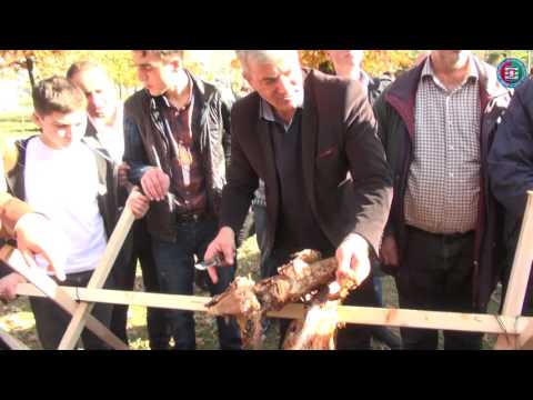 შემოდგომა ქედაში