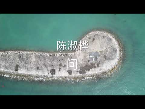 问 - 陈淑桦