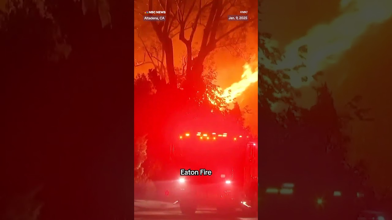 Altadena woman discovers her home is still standing after being told it had burned down Altadena woman discovers her home is still standing after being told it had burned down