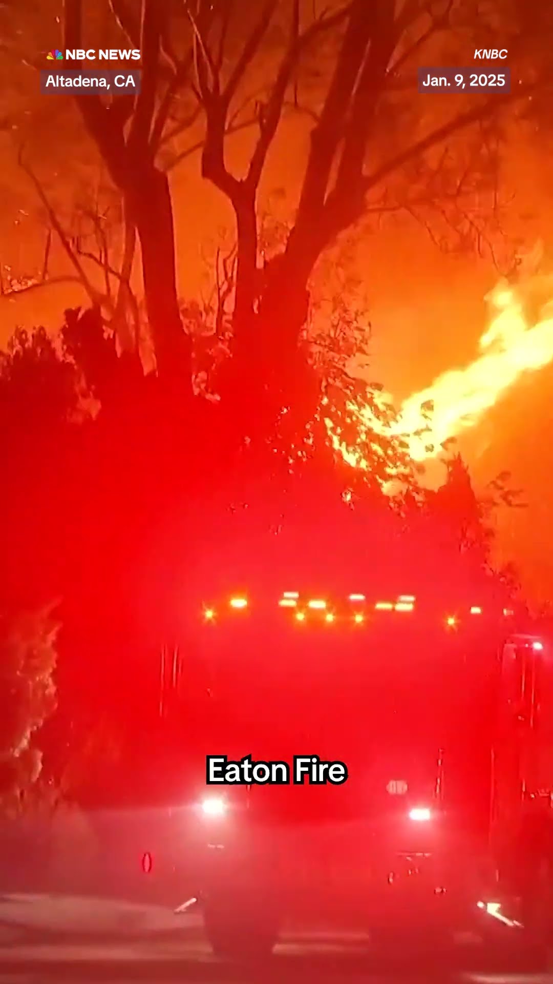 Altadena woman discovers her home is still standing after being told it had burned down