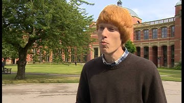 New dinosaur discovered