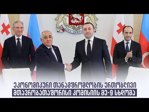 ეკონომიკური თანამშრომლობის ერთობლივი მთავრობათაშორისი კომისიის მე-9 სხდომა