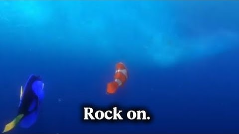 Finding Nemo: East Australian Current Journey Part3