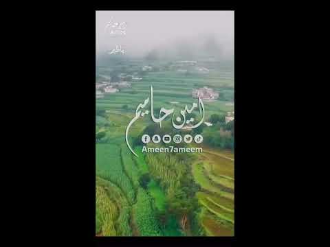 جديدي يا طير امين حاميم من البوم #أشياء 2023