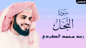 سورة النحل( كاملة) القارئ رعد محمد الكردي تلاوه خاشعه:😴💚