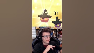 Shiny Hunting: 50 Pumpkaboo Eggs #Shorts