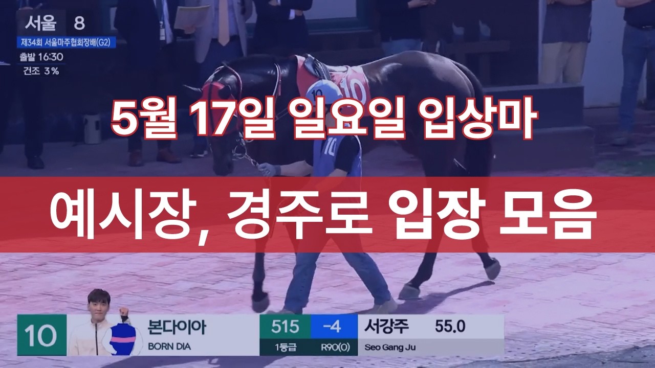 [5월 17일 일요일 입상마] 예시장, 경주로 입장 모음