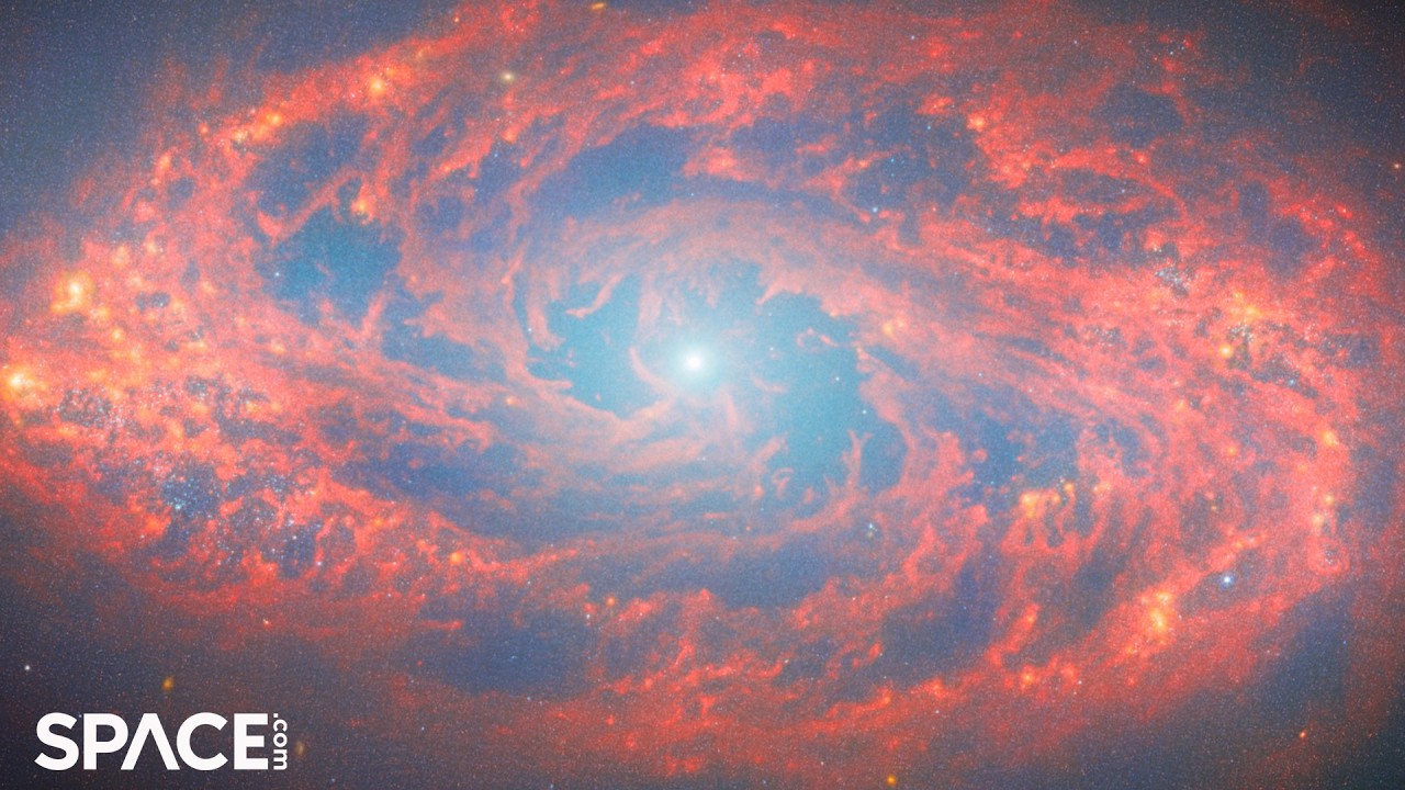 Stunning spiral galaxy NGC 5134 spied by James Webb Space Telescope ...