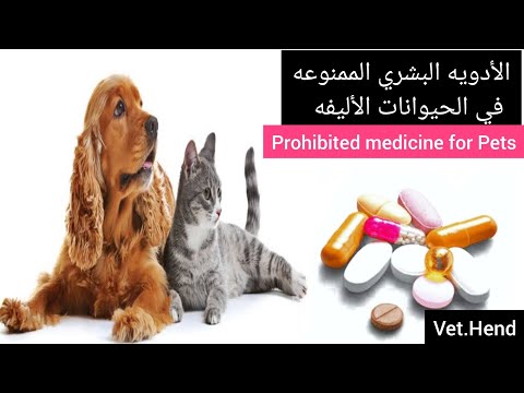فيديو: Cisapride - قائمة الأدوية والوصفات الطبية للحيوانات الأليفة والكلاب والقط