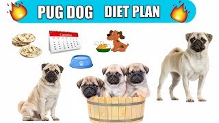 Pug dog diet plan / Pug dog diet chart /  In Hindi / Pug Dog Best Food