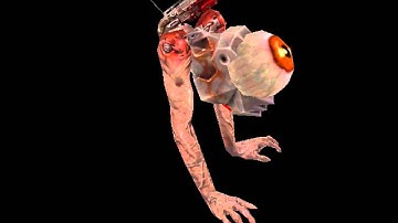 orbb with animated shotgun