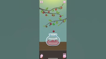 Perfect Tidy – Level 150 Walkthrough | Berry Picking & Harvesting 🍓🧺