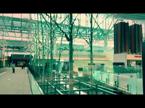 Happy New Year 2025 Wishing You All A Healthy Blessed Generosity All Of Your Dreams Come True