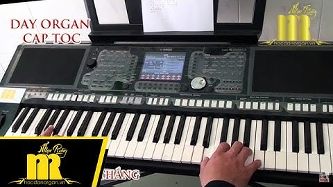 Học Đàn Organ Cấp Tốc TPHCM - PHÚT CUỐI - Trung Tâm Nhạc Rừng