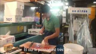 Trip Gourmand : Le marché aux poissons de Tsukiji