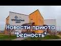 Новости приюта для животных "Верность" 19.11.2019