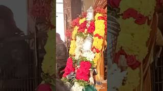 వాడపల్లి వేంకటేశ్వరస్వామి అష్టోత్తరపూజ Vadapalli Venkateswara swamy Astothara pooja) #viral #shorts