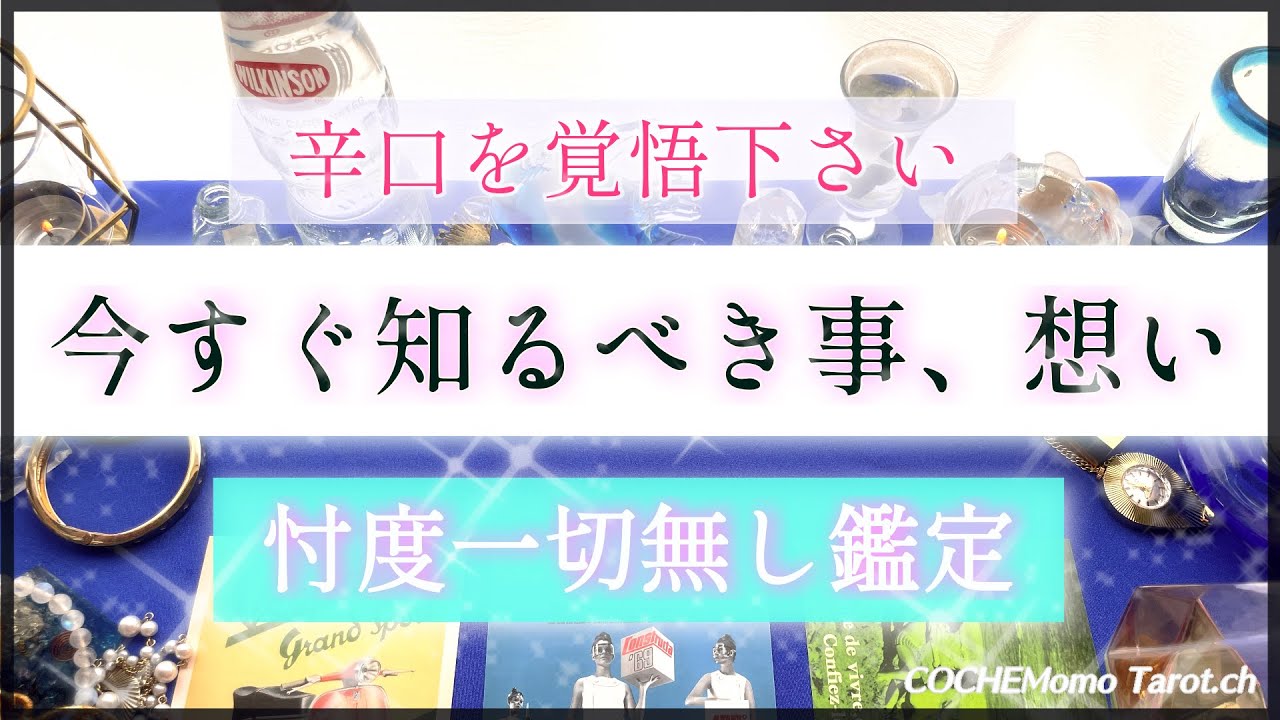 【辛口✴︎覚悟】忖度一切なし🤔この恋、今すぐ知るべき事、想い💓【シビア本格鑑定】‥結果ハッキリ伝えます【徹底リーディング】個人鑑定レベルで