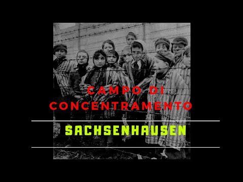 Video: Visitando al campo di concentramento di Sachsenhausen