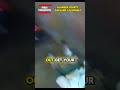 High Speed Police Chase In Oakland California