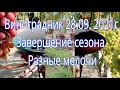 Виноградник 28 09 2021 г Завершение сезона Разные мелочи