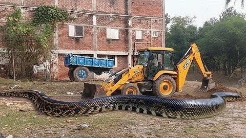 JCB 3DX Xpert Machine Loading Heavy Mud on Swaraj Tractor Trolley | Unstoppable Power Performance.